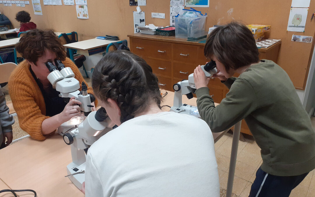 Journée Internationale des Femmes et Filles de Science 2026